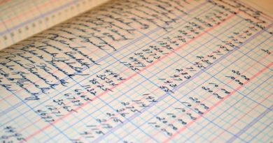 Assumptions of Accounting ledger